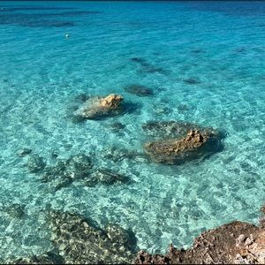 Meet your Posher, Thalia